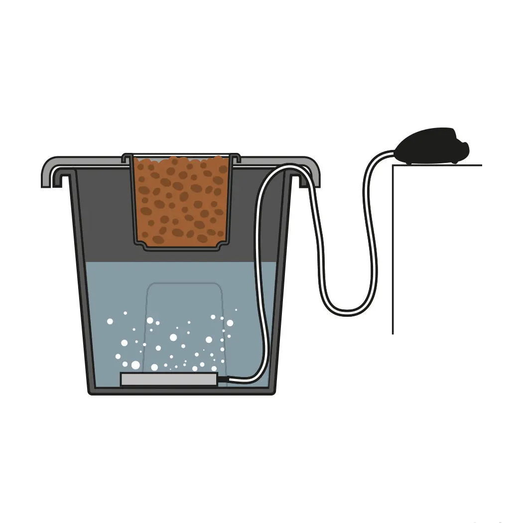 AEROS Pump bubbler system (hydroponic)