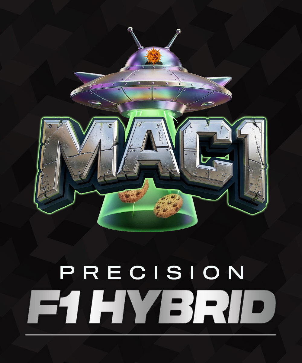 MAC 1