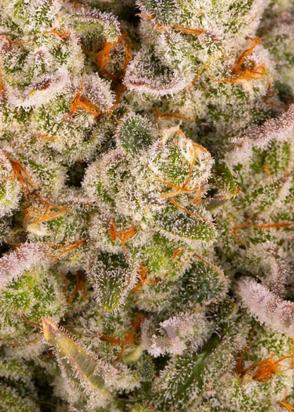 PINEAPPLE EXPRESS