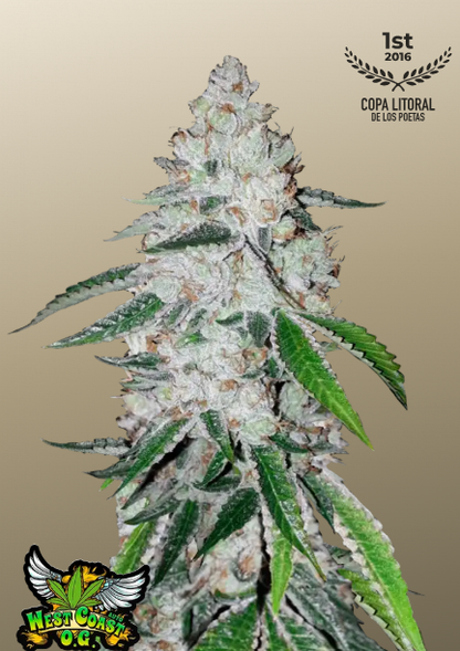 West Coast O.G. Auto