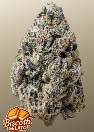 Biscotti Gelato