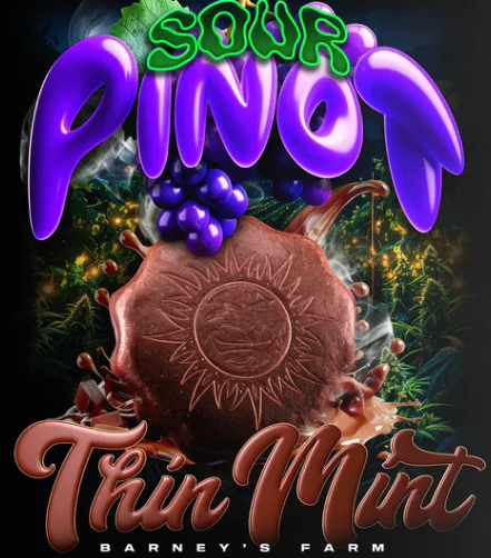 THIN MINT X SOUR PINOT AUTO