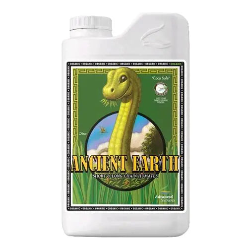 Ancient Earth - 1L