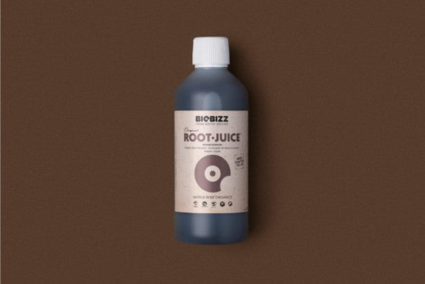 Root Juice
