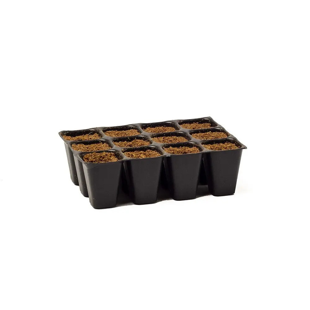 BioTabs SeedPlugs 12