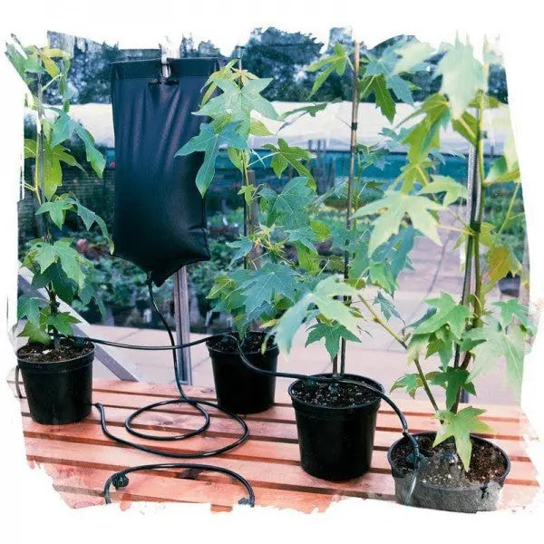 Droplet irrigation system for 6 plants