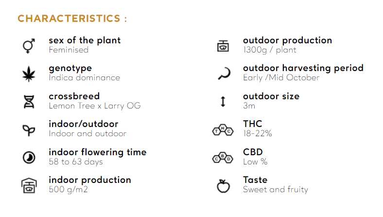 Lemon Sorbet — Silent Seeds