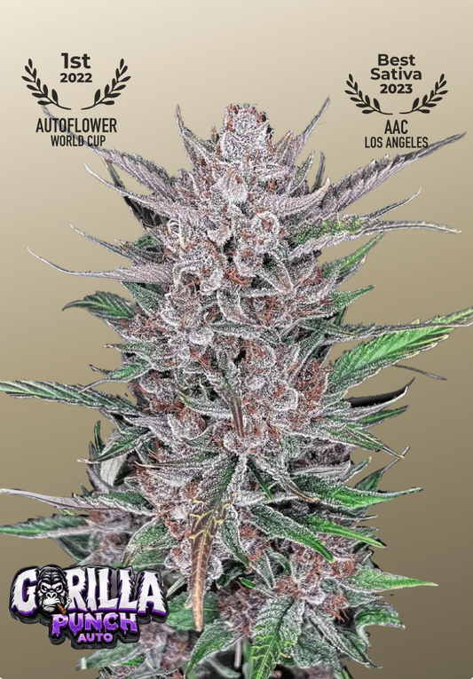 Gorilla Punch Auto