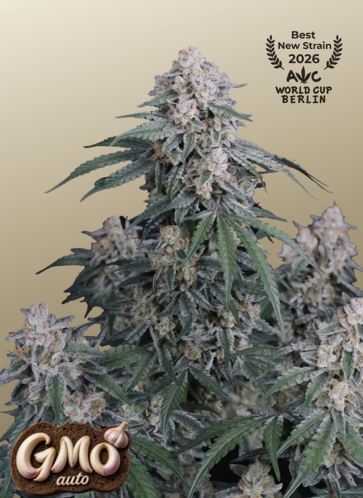 GMO Auto