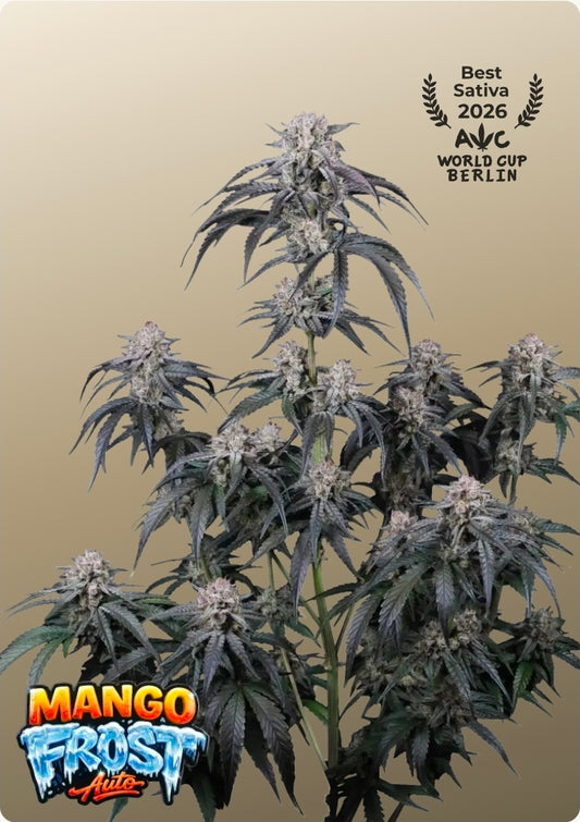 Mango frost Auto