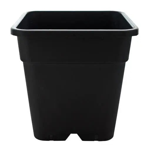 Square plastic pots