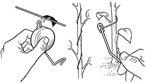 Yoyo plant support
