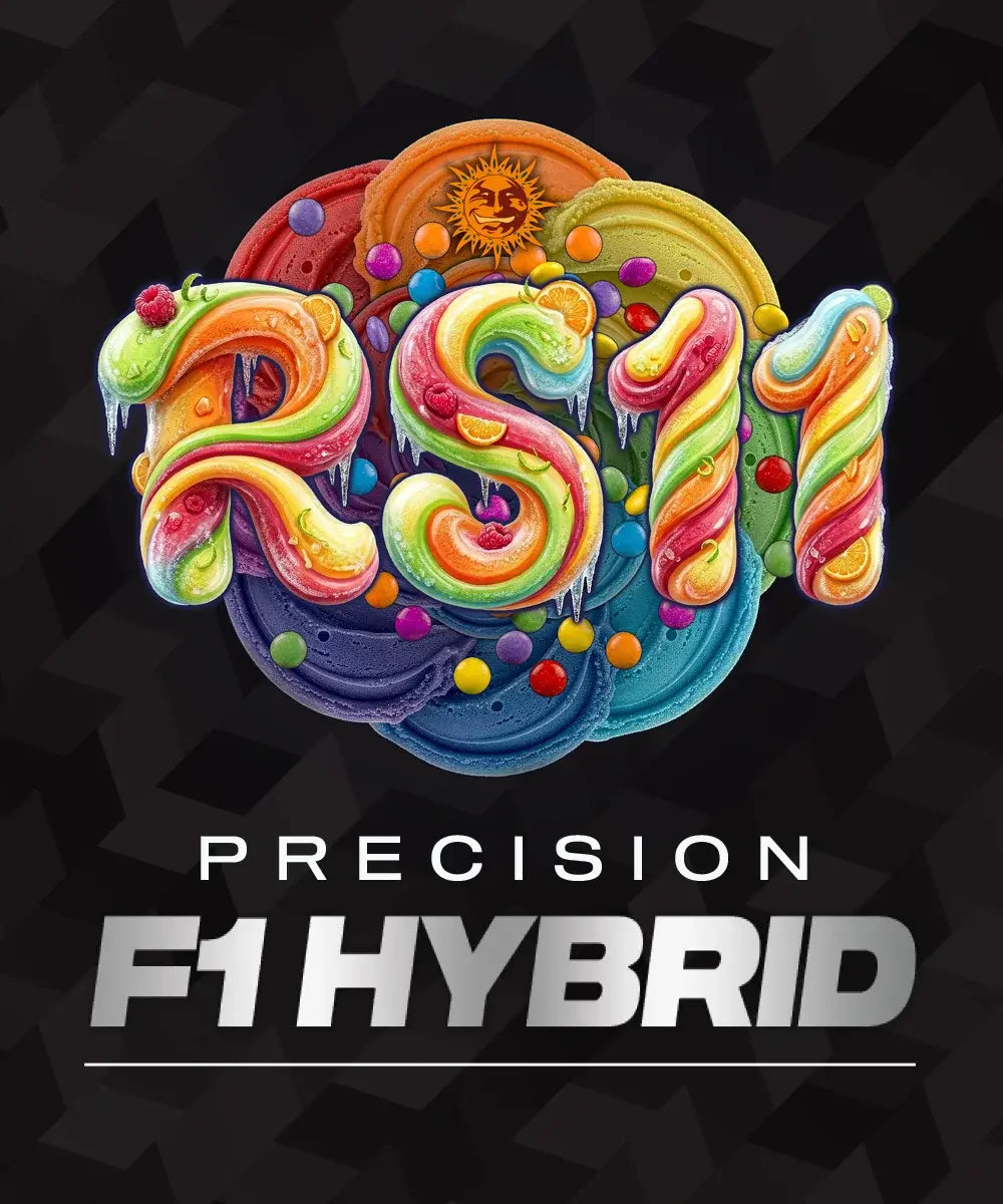 RS11 F1 hybrid