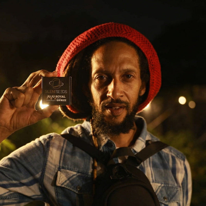 Jamaican Sunset — Julian Marley × Silent Seeds