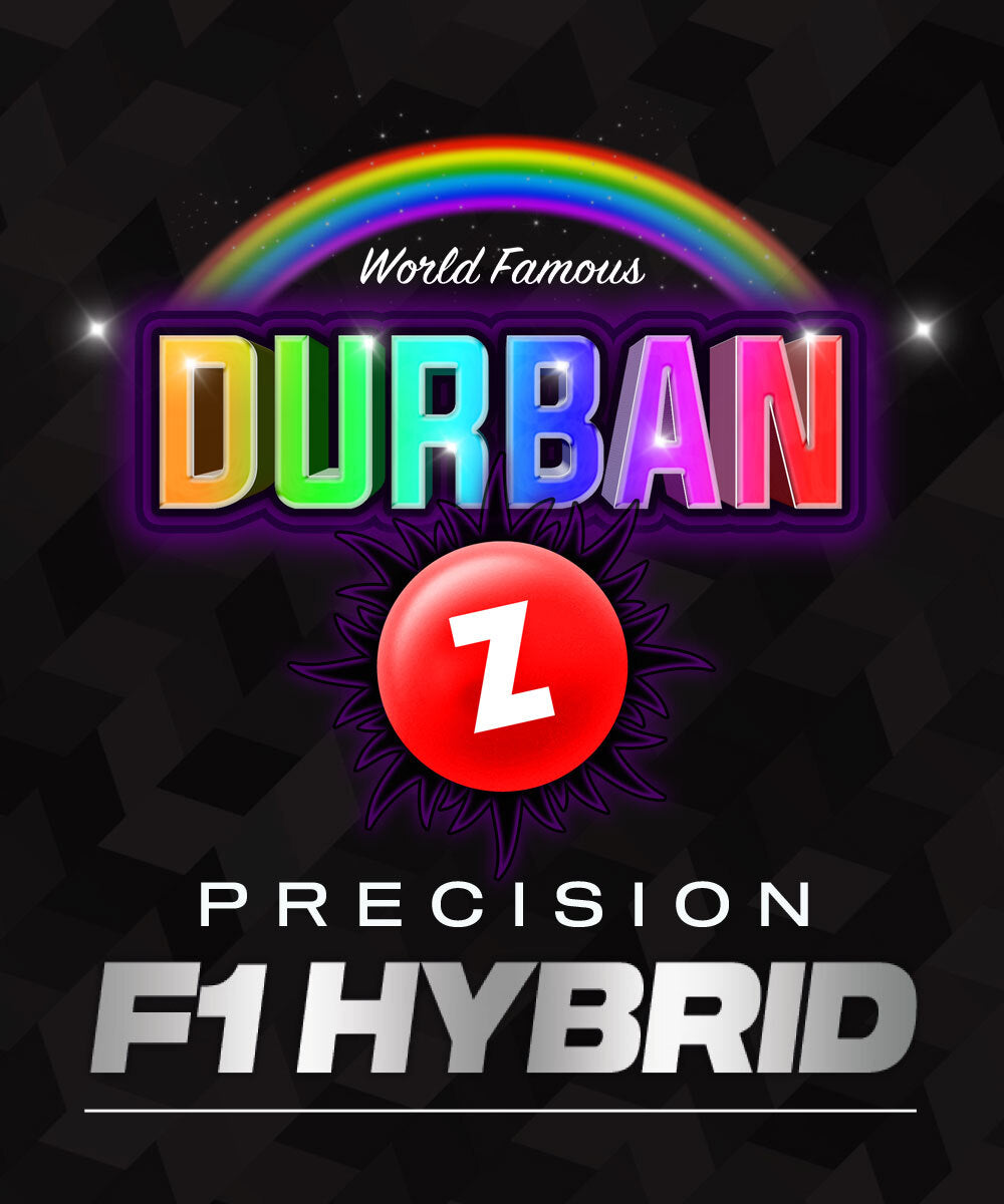 Durban Z F1 hybrid